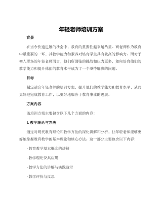 年轻教师培训方案