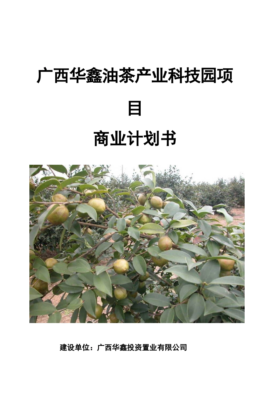 广西华鑫油茶产业科技园项目商业项目计划书样本_第2页