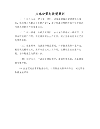 应急处置与救援原则