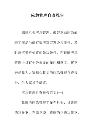 应急管理自查报告--精编范文