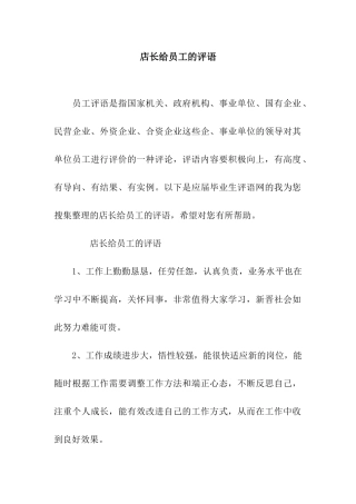 店长给员工的评语