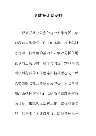 度财务计划安排--精编范文