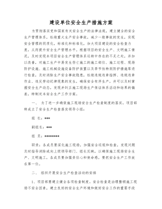 建设单位安全生产措施方案