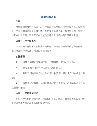 开业引流方案