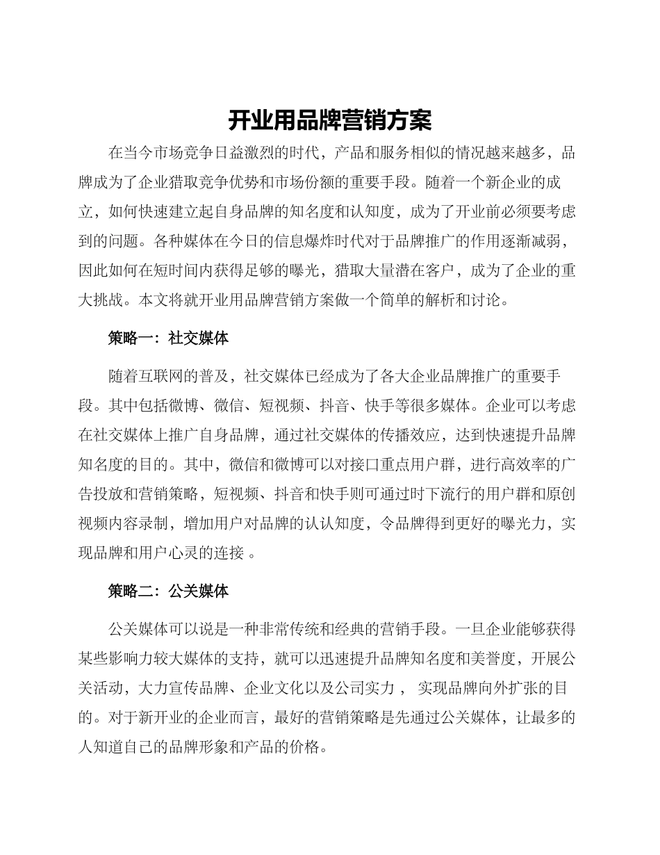 开业用品牌营销方案_第1页