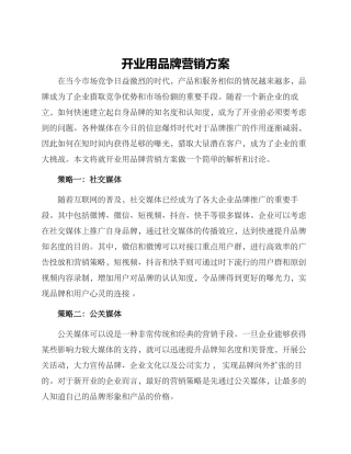 开业用品牌营销方案