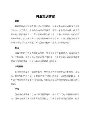 开业策划方案