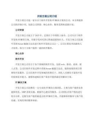 开发方案公司介绍