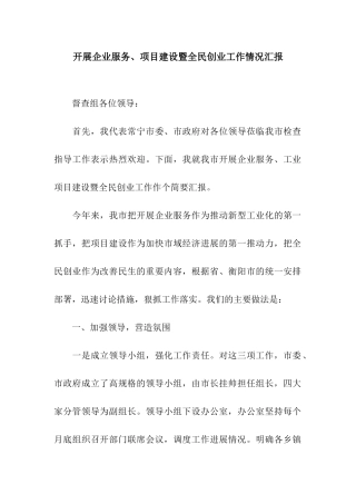 开展企业服务、项目建设暨全民创业工作情况汇报