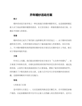 开年婚纱活动方案