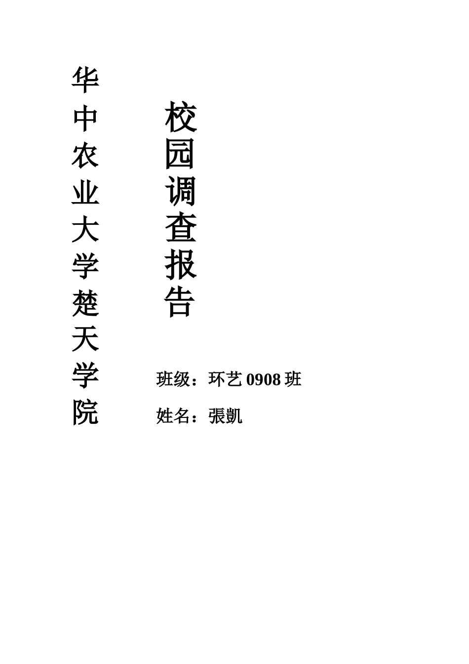 张凯校园调查研究报告样本_第2页