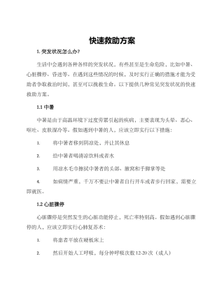 快速救助方案