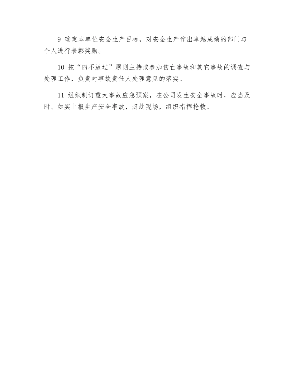 总经理安全、职业健康职责_第2页