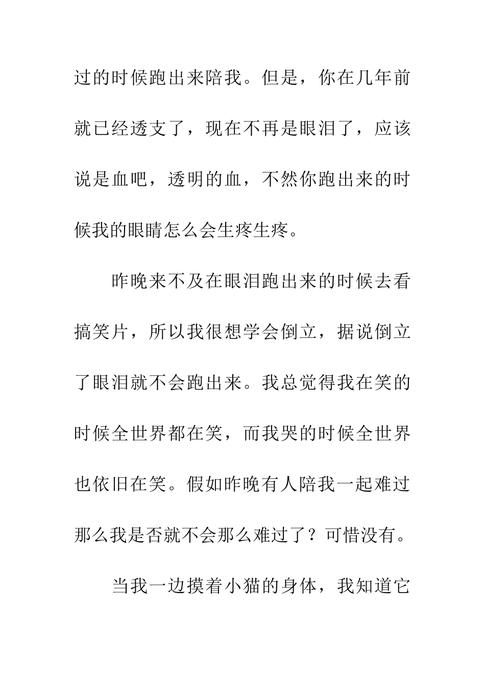 悼念我家的小猫_第2页