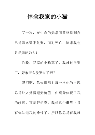 悼念我家的小猫