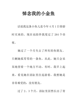 悼念我的小金鱼