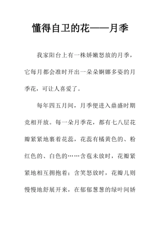 懂得自卫的花——月季