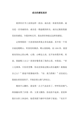 成功的感觉真好