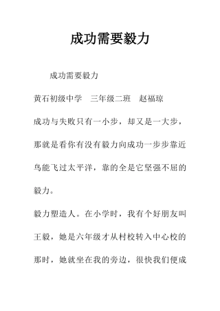 成功需要毅力-1