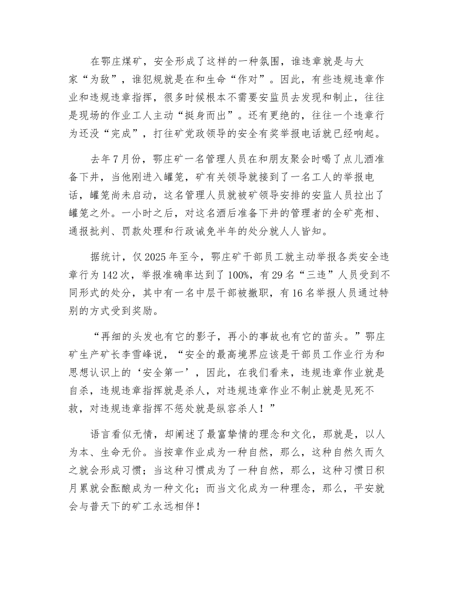 成在安全文化力_第3页