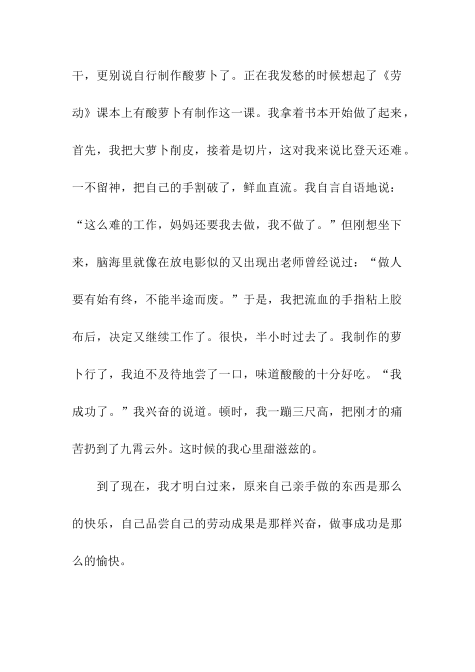 成功制作酸萝卜-2_第2页