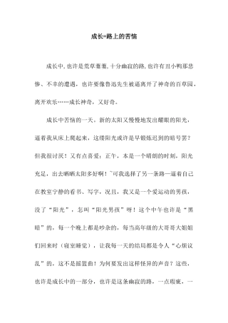 成长=路上的烦恼