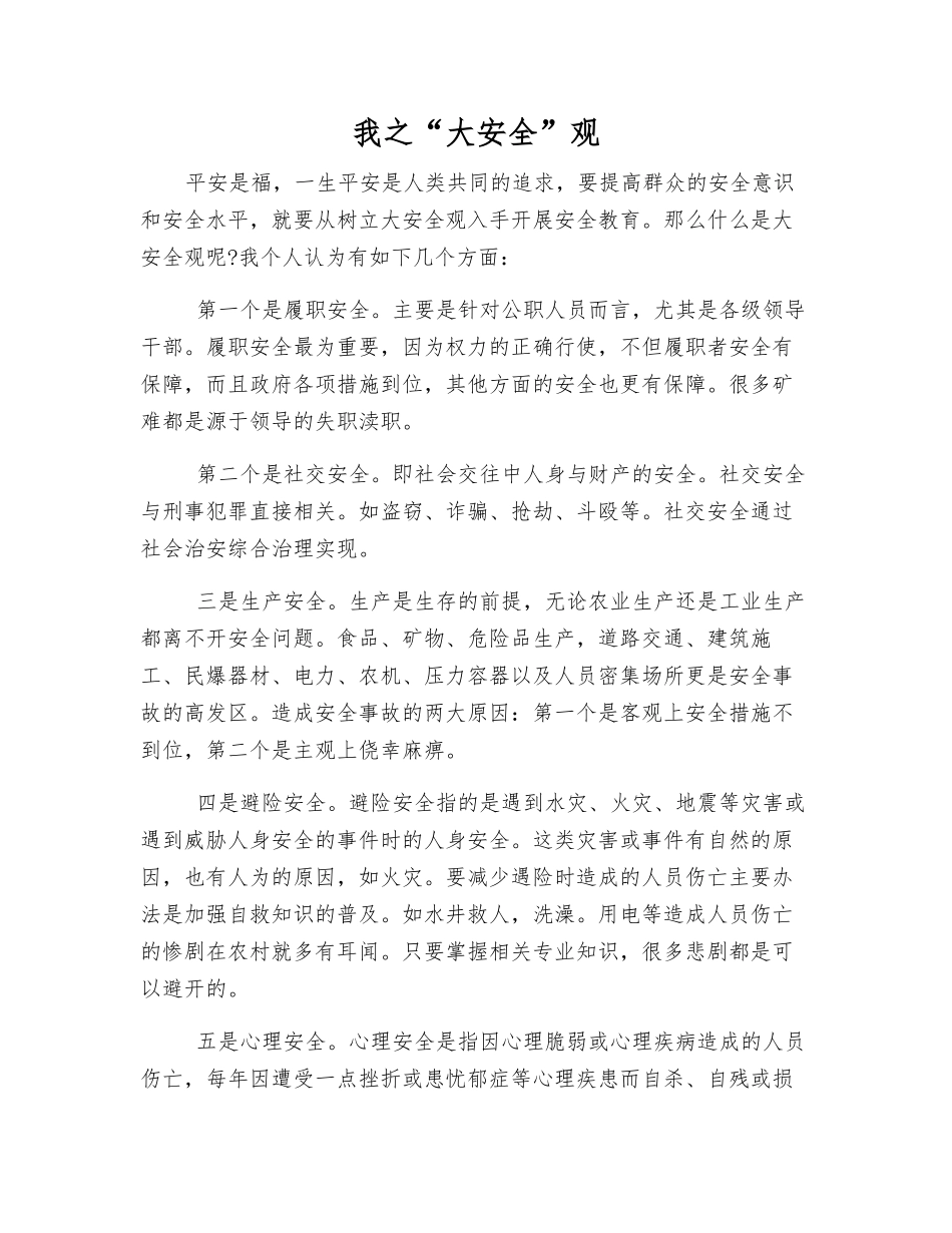 我之“大安全”观_第1页