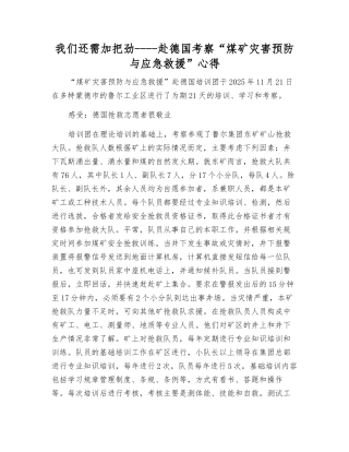 我们还需加把劲----赴德国考察“煤矿灾害预防与应急救援”心得