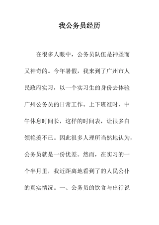 我公务员经历--精编范文