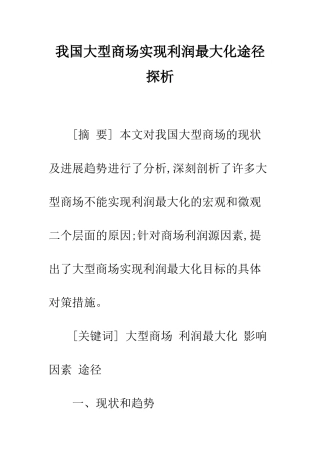我国大型商场实现利润最大化途径探析