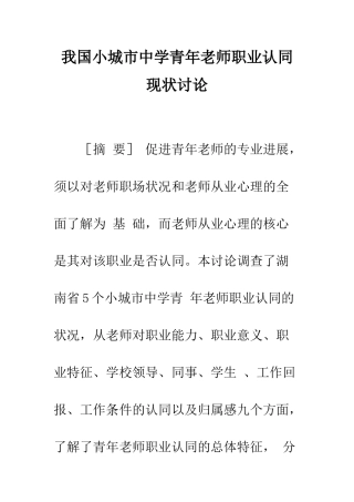 我国小城市中学青年教师职业认同现状研究