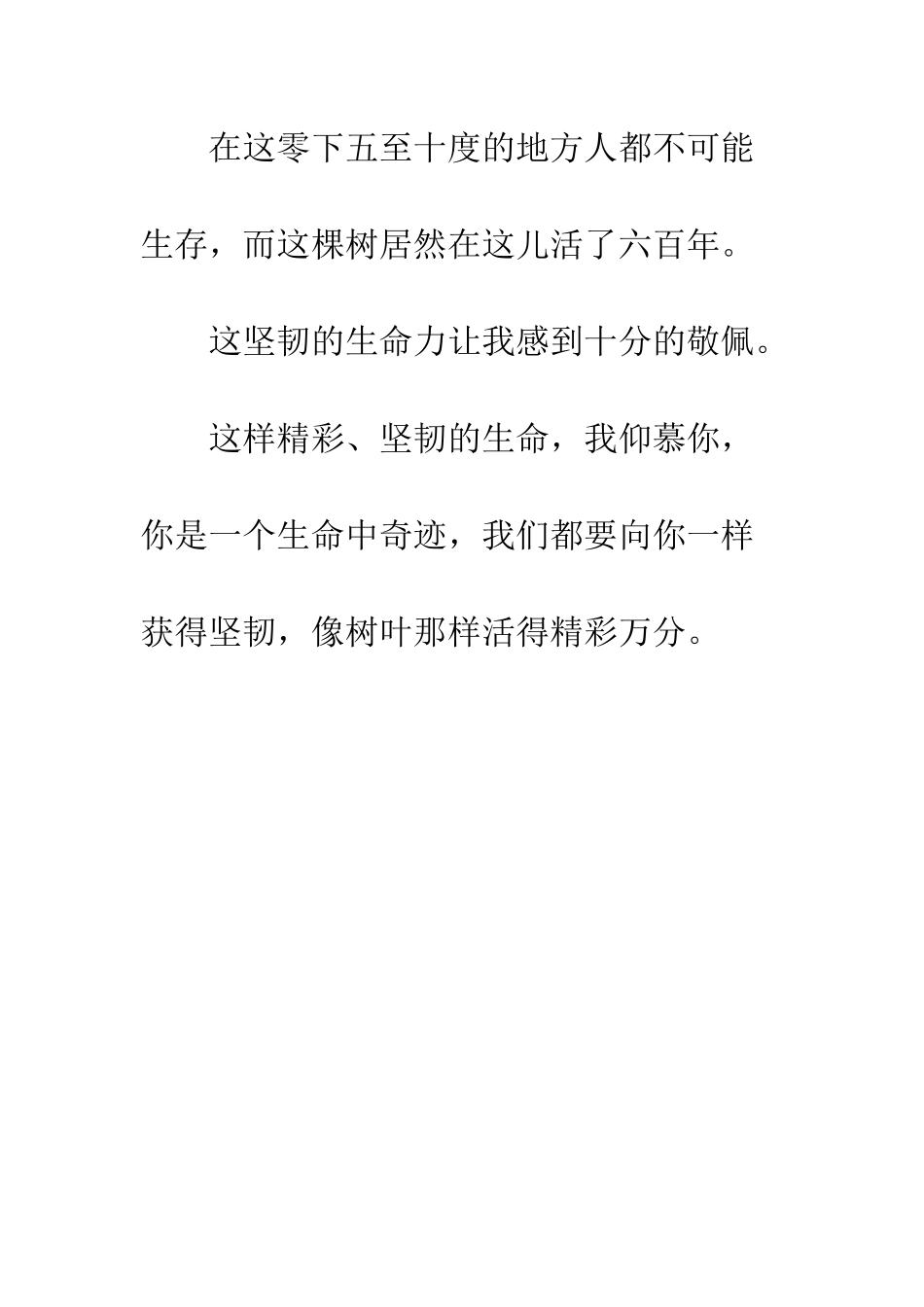 我家的杨梅树小学作文_第3页