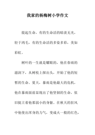 我家的杨梅树小学作文
