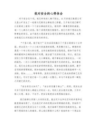 我对安全的心得体会