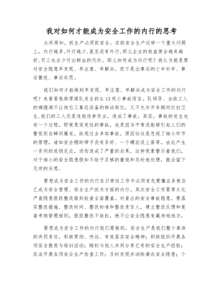 我对如何才能成为安全工作的内行的思考