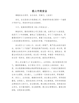 我心中的安全
