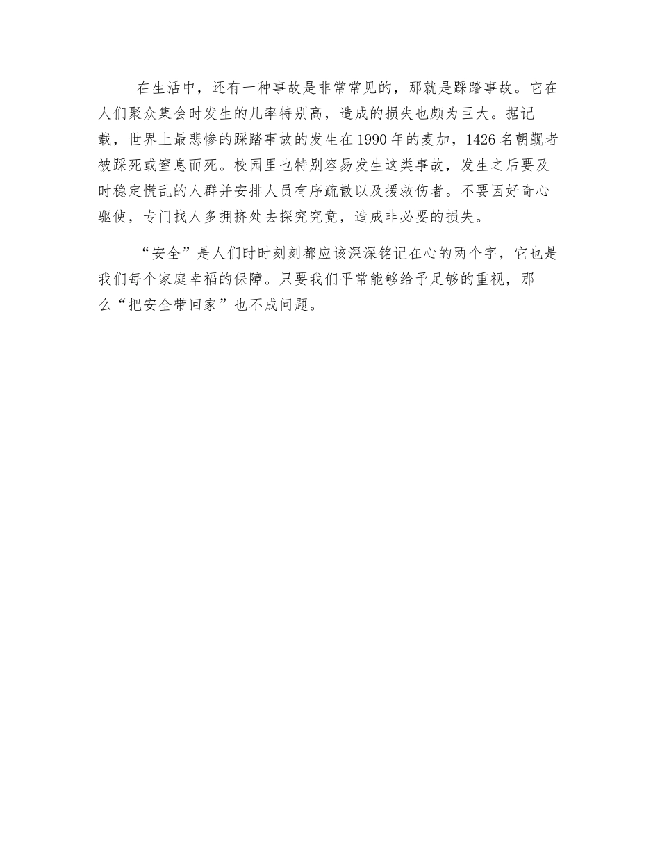 我把安全带回家_第2页