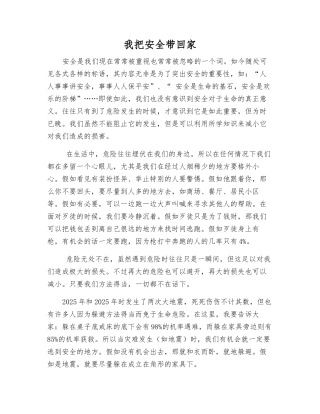 我把安全带回家