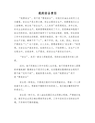 我的安全责任