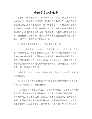 我的安全心得体会