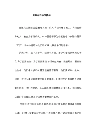 我眼中的中国精神