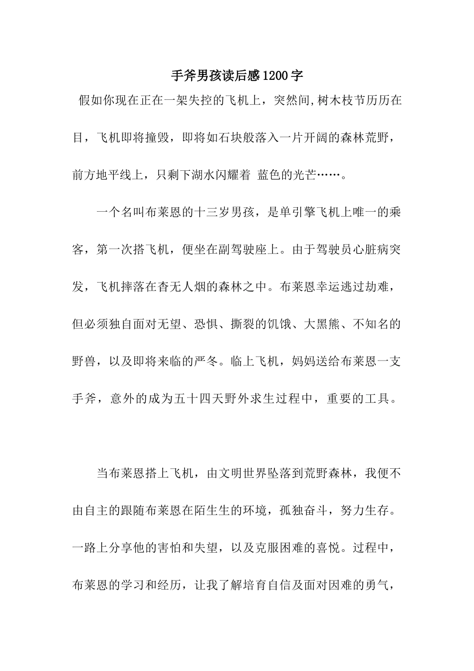 手斧男孩读后感1200字_第1页