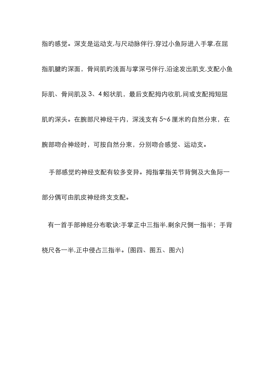 手部神经分布图_第3页