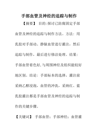 手部血管及神经的追踪与制作