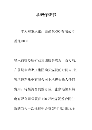 承诺保证书--精编范文