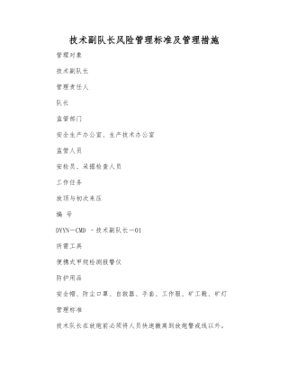技术副队长风险管理标准及管理措施