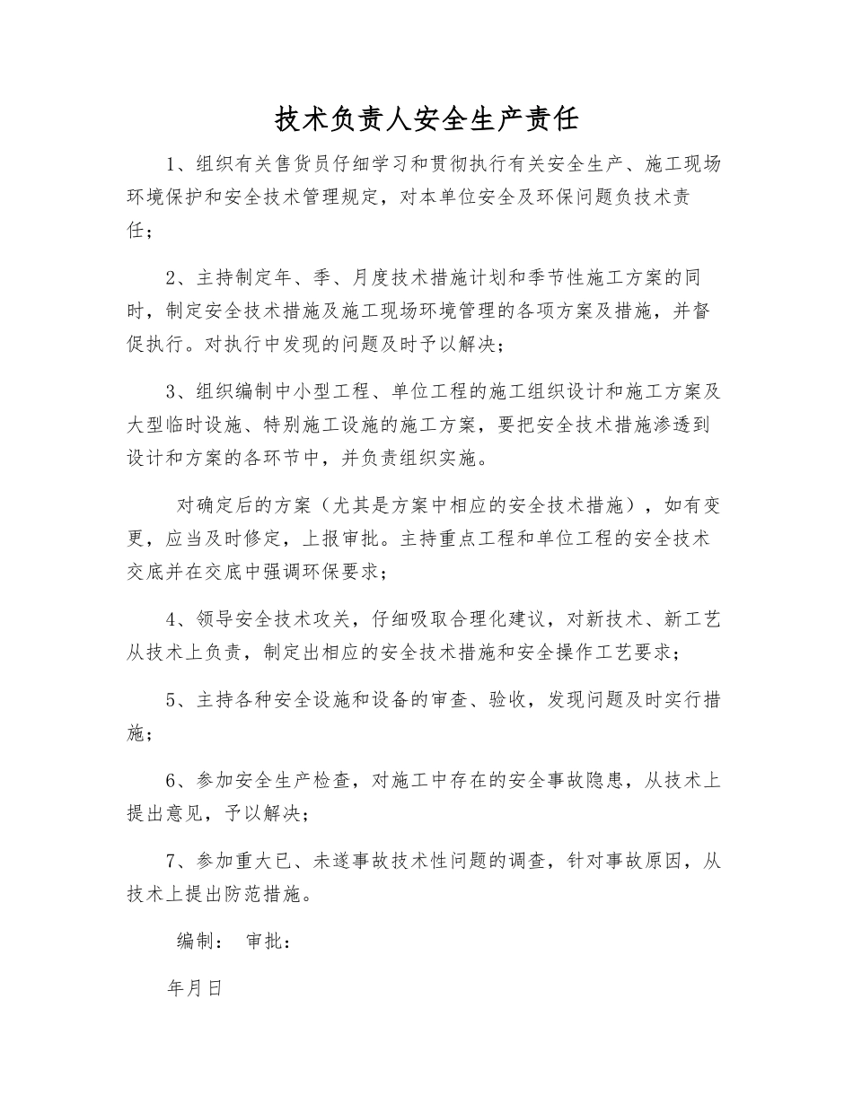 技术负责人安全生产责任_第1页