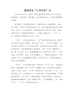 把好安全“亡羊补牢”关