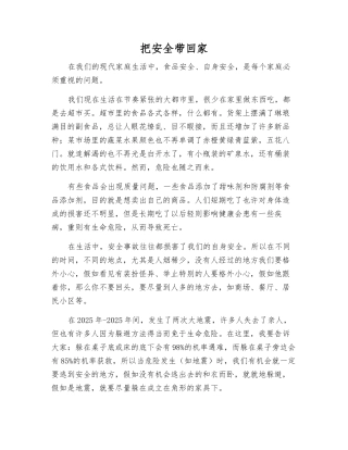 把安全带回家