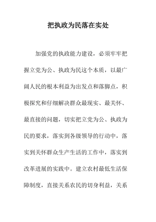 把执政为民落在实处--精编范文
